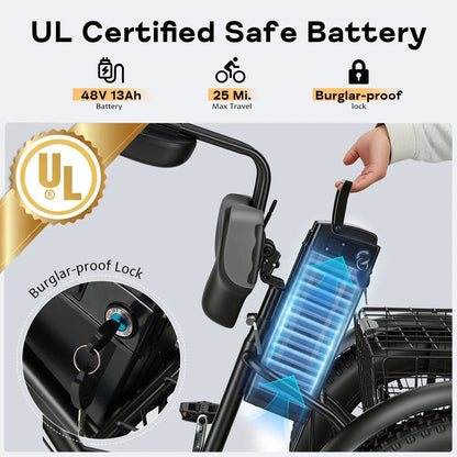 EROMMY Electric Trike for Adults,Peak 750W Brushless Motor, E-Trike with 20" x 4" Tires,LCD Display,Removable Battery, Charger,3-Wheel Electric Bicycle, Up to 70 Miles Range, 20 MPH+ Speed, Black