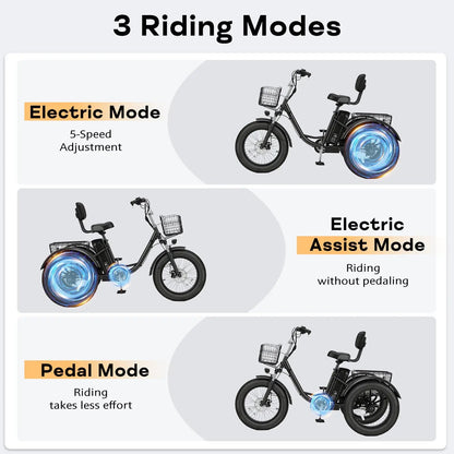 EROMMY Electric Trike for Adults,Peak 750W Brushless Motor, E-Trike with 20" x 4" Tires,LCD Display,Removable Battery, Charger,3-Wheel Electric Bicycle, Up to 70 Miles Range, 20 MPH+ Speed, Black